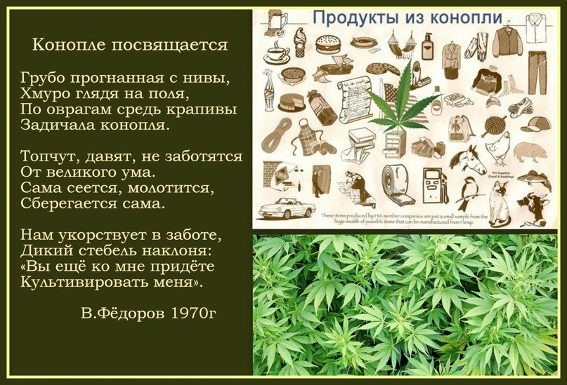 Производство из конопли рецепт каши из марихуаны