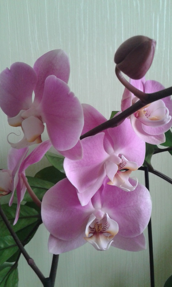 20150427_112101.jpg