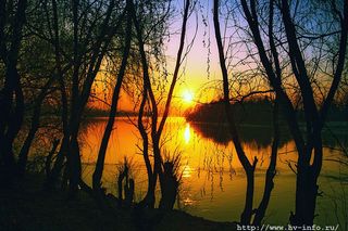6952021_4e9c4693.jpg