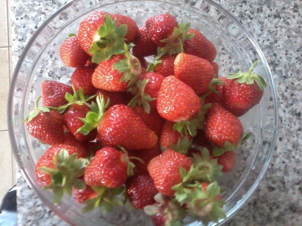 20150515_170255.jpg