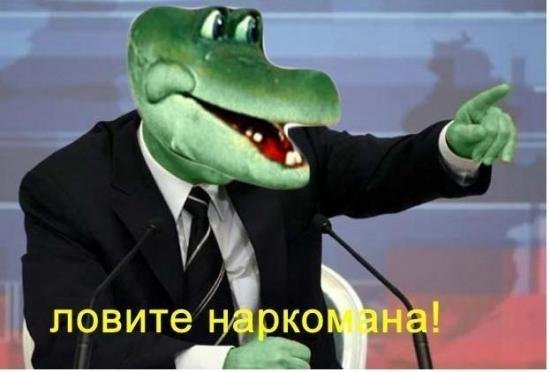 2972214.jpg