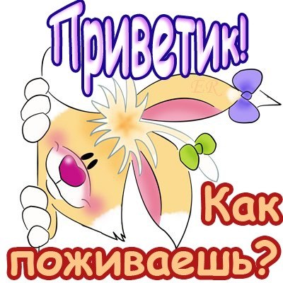 61.jpg