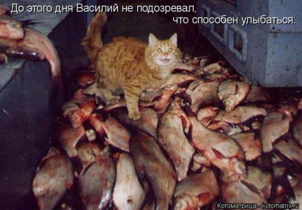 Василий улыбается.jpg