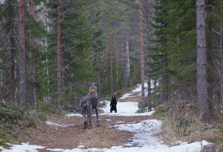 встреча.jpg