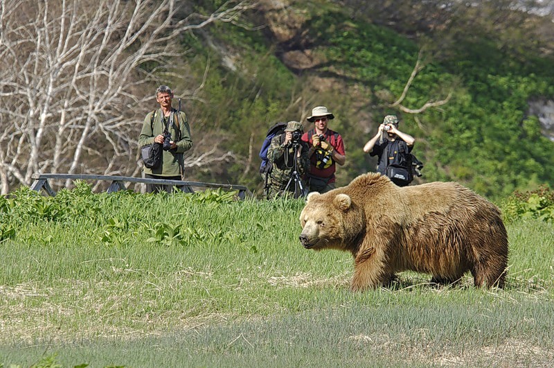 гости.jpg