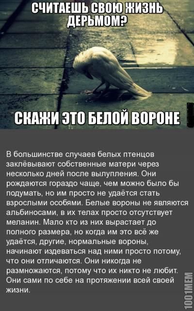 3669379.jpg