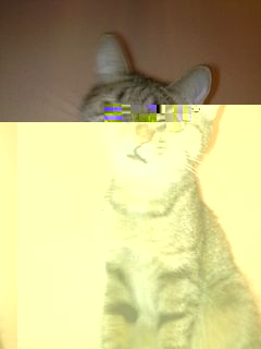 20092011192.jpg