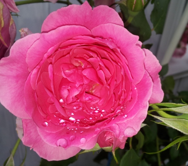 20150617_172403.jpg