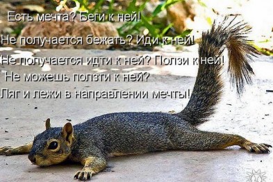 Мечта.jpg
