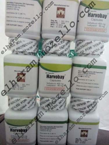watermarked_-_watermarked_-_Harvobay.jpg