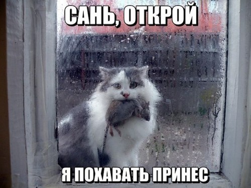 file.php%3fid=60161.jpg