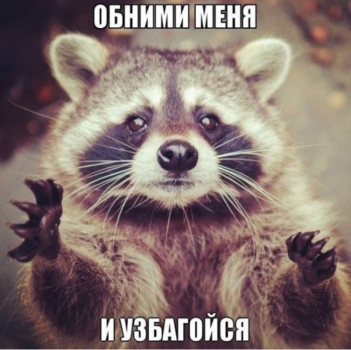 1386258897_uzba.jpg