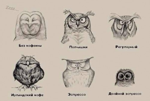 Совы кофе)))