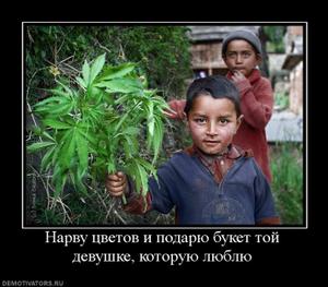 248180_narvu-tsvetov-i-podaryu-buket-toj-devushke-kotoruyu-lyublyu_thumbnail.jpg