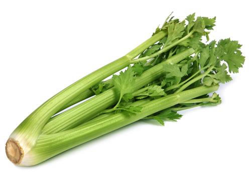 q-celery.jpg