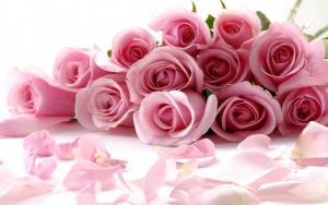 rozy_lepestki_buket_90466_300x188.jpg