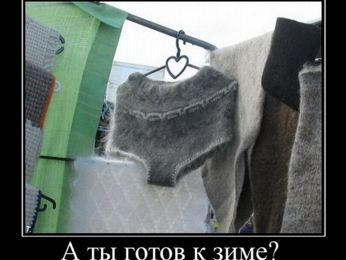 Готовимся к зиме.jpg