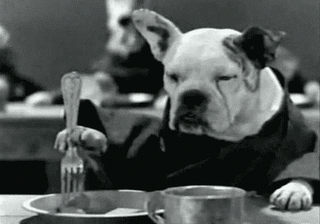 anim_dog_2_15.gif