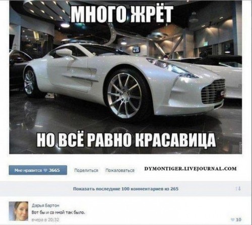 kommenty_389.jpg