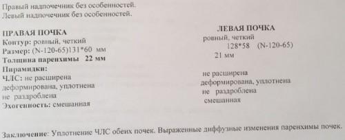 почки.jpg