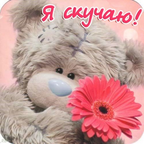 stihi_skuchaju_po_ljubimoj_devushke.jpg