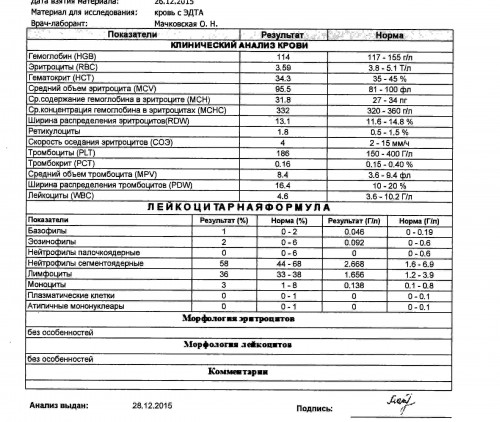 img016_cr_cr.jpg
