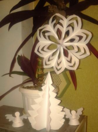 IMG_20160112_173919.jpg