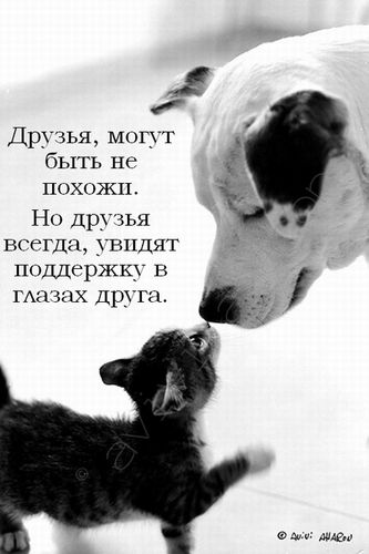 5510143_1192804997_1web.jpg