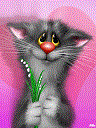 216375616.gif