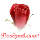 793022.gif