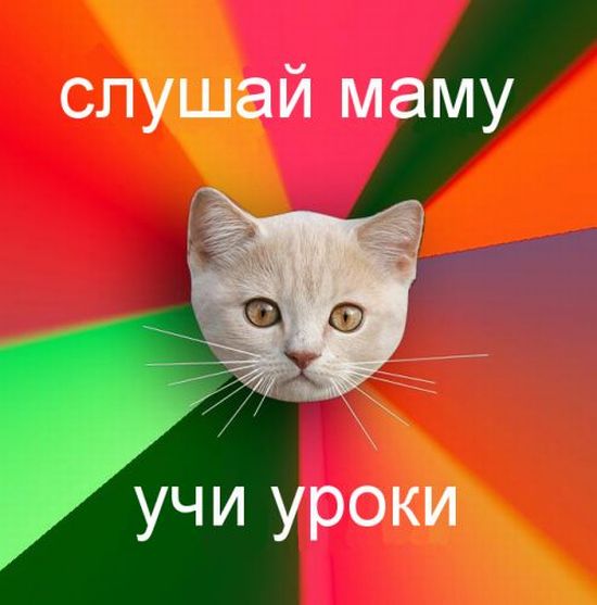 picdump_27.jpg