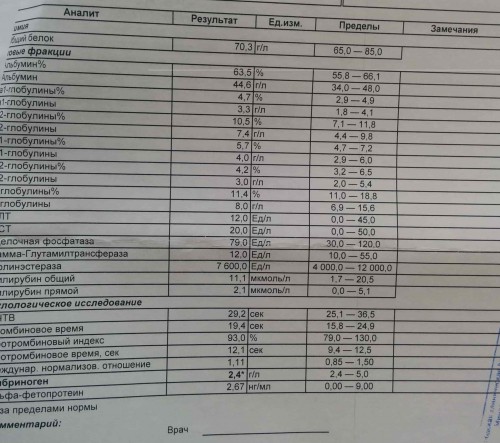 Какой анализ сдать на белок. Анализ крови на белковые фракции норма. Фракции белка в биохимическом анализе крови норма. Анализ крови фракции белка. Белковые фракции биохимия норма.