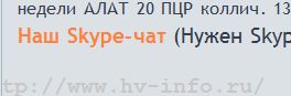 chat.PNG