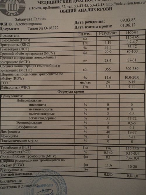 оак.JPG