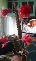 20160602_160107.jpg