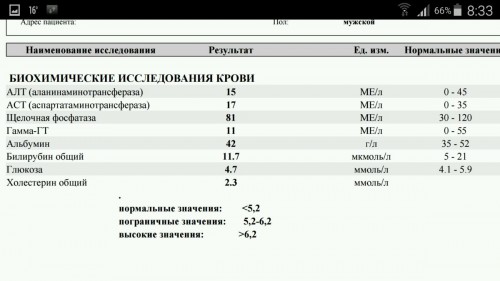 Холестерин в анализах как обозначается латинскими