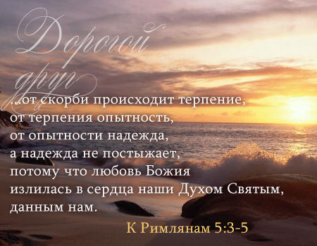 75387862_37.jpg