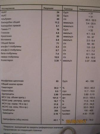 IMG_1119.jpg