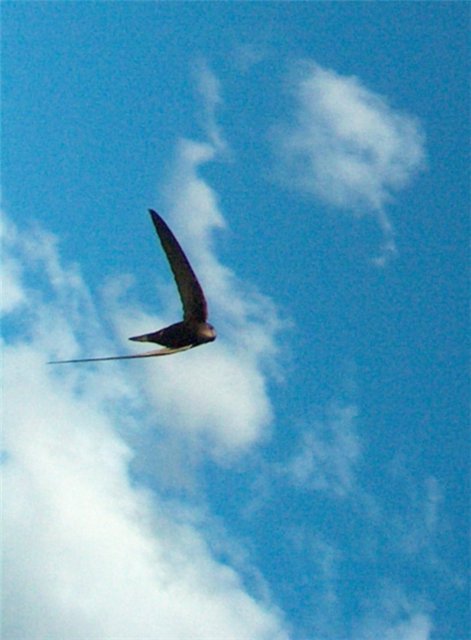 a84b38da762e.jpg