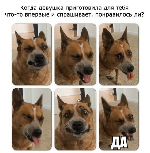 13873112_1029275580460532_3803840033024941190_n.jpg (82.02 КБ) 578 просмотров 13873112_1029275580460532_3803840033024941190_n.jpg