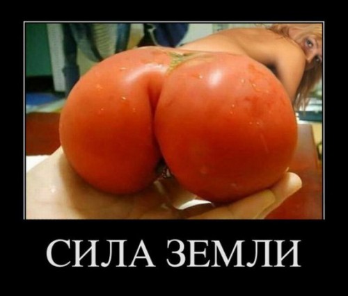 1318830014_demotivator-010.jpg (41.47 КБ) 430 просмотров 1318830014_demotivator-010.jpg