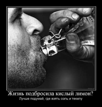1322302021_1294944613_zhizn-podbrosila-kislyij-limon.jpg