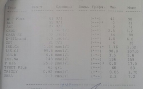 2016-10-04 19.28.26.jpg