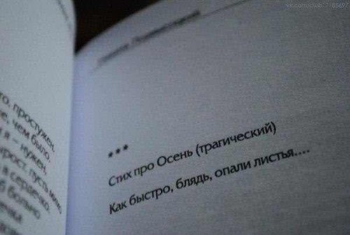 6fEkKXlchZk.jpg