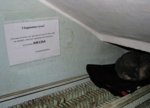 ркр.jpg