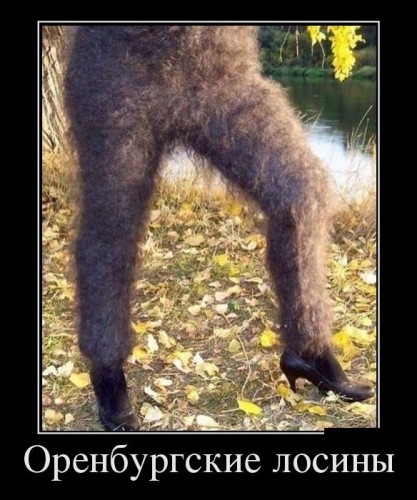 олрл.jpg