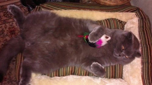03112011008.jpg