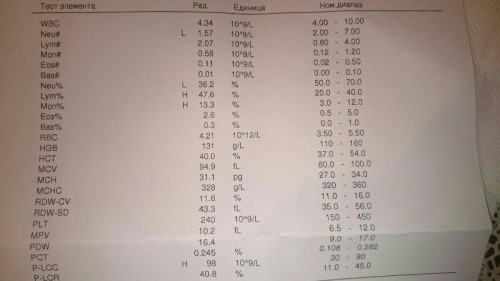 5MIM3LppJ70-800x450.jpg