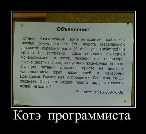 Котэ.jpg