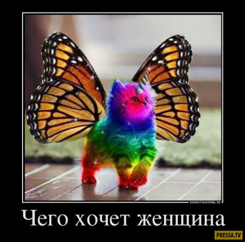 1479443136_37.jpg